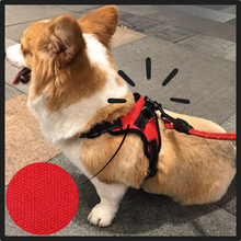 Carica l'immagine nel visualizzatore di Gallery, Imbracatura per cani a sella regolabile riflettente - Ozerty