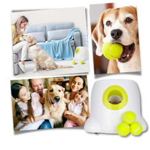 Carica l'immagine nel visualizzatore di Gallery, Lanciatore automatico di palline per cani - Ozerty