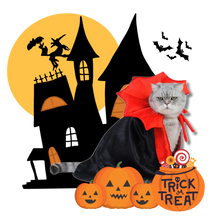 Carica l'immagine nel visualizzatore di Gallery, Costume di Halloween per animali domestici da Dracula - Ozerty