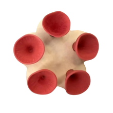 Carica l'immagine nel visualizzatore di Gallery, Coppa per api discreta, Attraente e Colorata -Rosso - Ozerty