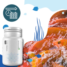 Carica l'immagine nel visualizzatore di Gallery, Alghicida preventivo per acquari - Ozerty