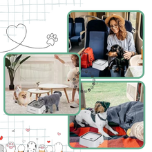 Carica l'immagine nel visualizzatore di Gallery, Fontanella per Cani Anti-Schizzo - Ozerty