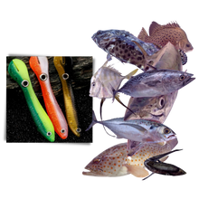 Carica l'immagine nel visualizzatore di Gallery, Set di esche da pesca artificiali

