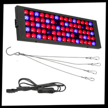Carica l'immagine nel visualizzatore di Gallery, Lampada da coltivazione a LED sospesa a spettro completo
