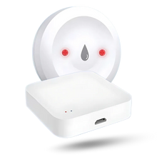 Carica l'immagine nel visualizzatore di Gallery, Sensore Wireless LeakLock -1 Sensore di perdita d'acqua con hub Wi-fi - Ozerty
