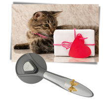 Carica l'immagine nel visualizzatore di Gallery, Spazzola speciale per animali domestici - Ozerty
