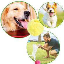 Carica l'immagine nel visualizzatore di Gallery, Palla mobile automatica per cani con coperture intercambiabili - Ozerty
