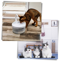 Carica l'immagine nel visualizzatore di Gallery, Fontana d'acqua automatica per gatto con luce LED - Ozerty
