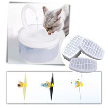 Carica l'immagine nel visualizzatore di Gallery, Fontana d'acqua automatica per gatto con luce LED - Ozerty
