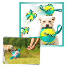 Carica l'immagine nel visualizzatore di Gallery, Giocattolo per cani palla frisbee - Ozerty
