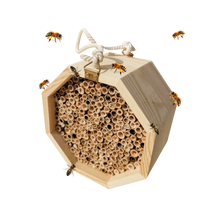 Carica l&#39;immagine nel visualizzatore di Gallery, Casa delle api in legno esagonale - Ozerty
