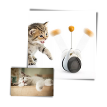 Carica l'immagine nel visualizzatore di Gallery, Palla giocattolo interattiva per gatti - Ozerty
