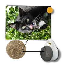 Carica l'immagine nel visualizzatore di Gallery, Palla giocattolo interattiva per gatti - Ozerty
