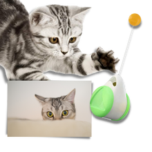 Carica l'immagine nel visualizzatore di Gallery, Palla giocattolo interattiva per gatti - Ozerty
