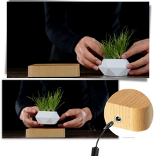 Carica l'immagine nel visualizzatore di Gallery, Vaso per piante fluttuante - Ozerty
