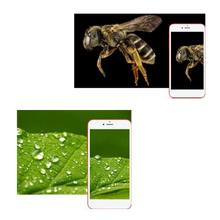 Carica l'immagine nel visualizzatore di Gallery, Microscopio digitale USB con LED
