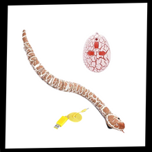 Carica l'immagine nel visualizzatore di Gallery, Giocattolo a serpente interattivo telecomandato per gatto - Ozerty
