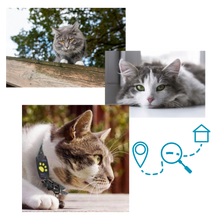 Carica l'immagine nel visualizzatore di Gallery, Collare di localizzazione GPS per animali domestici
