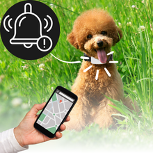 Carica l'immagine nel visualizzatore di Gallery, Collare di localizzazione GPS per animali domestici - Ozerty
