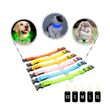 Carica l'immagine nel visualizzatore di Gallery, Collare per animali con luce LED ricaricabile USB - Ozerty
