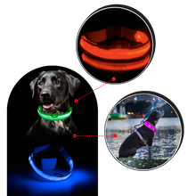 Carica l'immagine nel visualizzatore di Gallery, Collare per animali con luce LED ricaricabile USB - Ozerty
