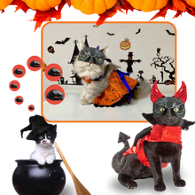 Carica l&#39;immagine nel visualizzatore di Gallery, Adorabile maschera da gatto di Batman - Ozerty
