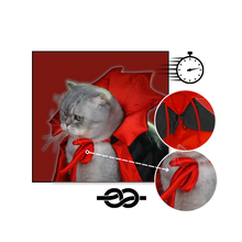 Carica l'immagine nel visualizzatore di Gallery, Costume di Halloween per animali domestici da Dracula - Ozerty
