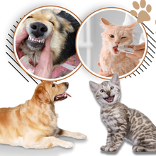 Carica l'immagine nel visualizzatore di Gallery, Gel Orale per Animali Domestici - Ozerty
