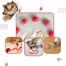 Carica l'immagine nel visualizzatore di Gallery, Palla interattiva intelligente per gatti  - Ozerty
