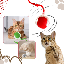 Carica l'immagine nel visualizzatore di Gallery, Palla interattiva intelligente per gatti  - Ozerty
