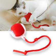Carica l'immagine nel visualizzatore di Gallery, Palla interattiva intelligente per gatti  - Ozerty

