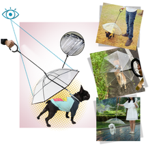 Carica l'immagine nel visualizzatore di Gallery, Guinzaglio a Ombrello Trasparente per Cani - Ozerty
